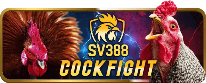 Phân tích bảo mật cf68 login